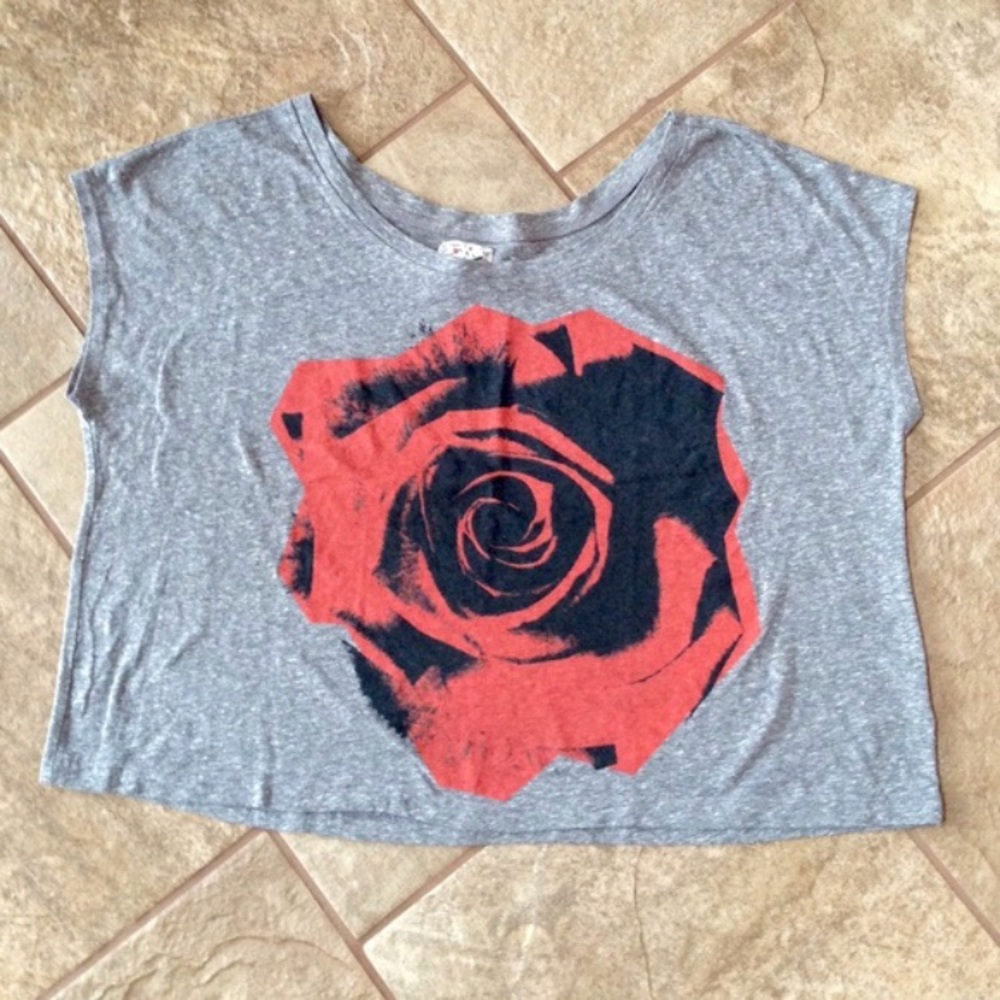 + nwot + URBAN OUTFITTERS Bird Rose Crop Tee - Picture 2 of 4